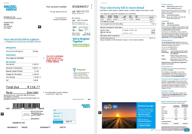 Ireland Electric Ireland business utility bill template in Word and PDF formats, 2 pages